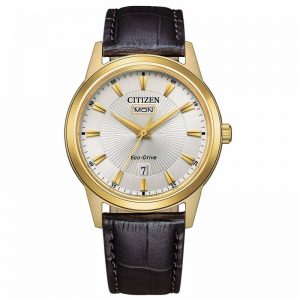 Orologio Citizen Solo Tempo Uomo Ecodrive "Of Classic" AW0102-13A