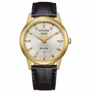 Orologio Citizen Solo Tempo Uomo Ecodrive "Of Classic" AW0102-13A